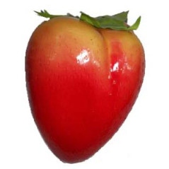 Fraise géante - polystyrène - H. 22cm