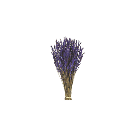 Lavandin naturel Bio bottillon de 100 grs - Haut. 35cm
