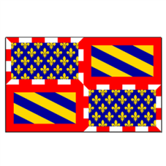 Drapeau Bourgogne - tissu - 60 x 90 cm