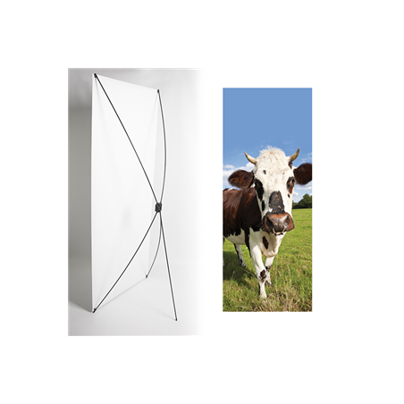 Kakemono normandie vache - 180 x 80 cm - Toile M1 avec structure  X- Banner