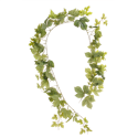 Tresse de feuillage de vignes - Long. 170cm