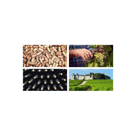 Mobiles Vendanges x4 - carton - 27 x 49cm