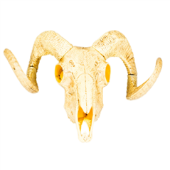 Crâne d'animal (28 x 36 cm) en plastique