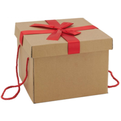 Boite cadeau pliante en kraft et nœud rouge 26 x 26 x 19 cm
