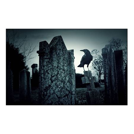 Visuel imprimé Halloween Cimetière Corbeau - 40 x 30 cm sur bristol 350 gr