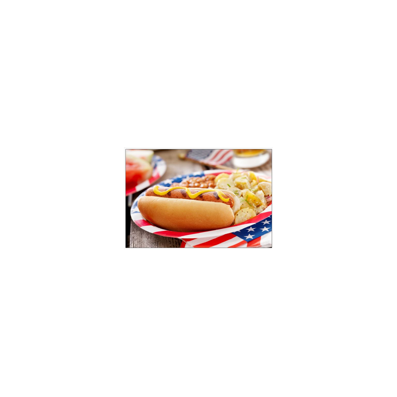 Visuel imprimé USA Hot-Dog - 40 x 30 cm sur forex
