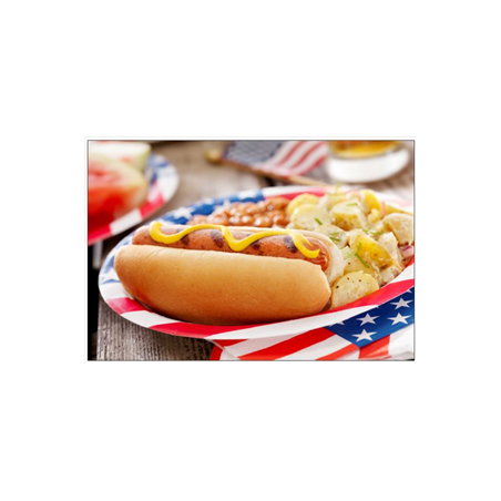 Visuel imprimé USA Hot-Dog - 40 x 30 cm sur forex