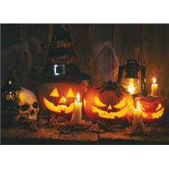 Visuel imprimé Citrouilles Halloween - 40 x 30 cm sur bristol 350 gr