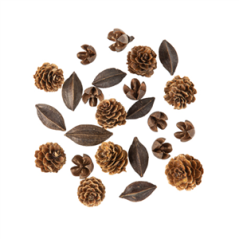 Assortiment d'Écorces et Pommes de Pin Naturel De 1 à 3,5cm - 24pcs