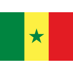 Drapeau Sénégal - tissu - 60 x 90cm