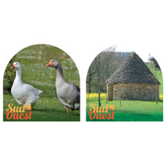 Mobiles Sud Ouest x2 - carton - 30x 30cm