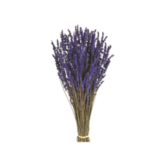 Lavandin naturel Bio bottillon de 100 grs - Haut. 35cm