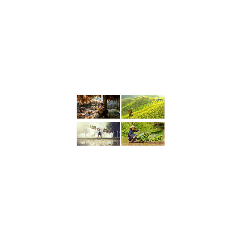 Mobiles Vietnam x4 - carton - 27 x 49cm