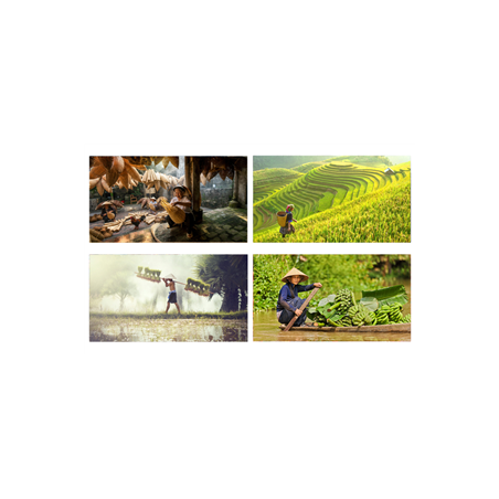 Mobiles Vietnam x4 - carton - 27 x 49cm