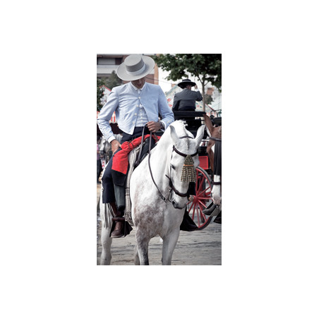 Affiche Cavalier espagnol - 50 X 85
