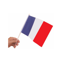 Drapeaux 20 x 30 bleu blanc rouge x 10 sur hampe de 50 cm - papier