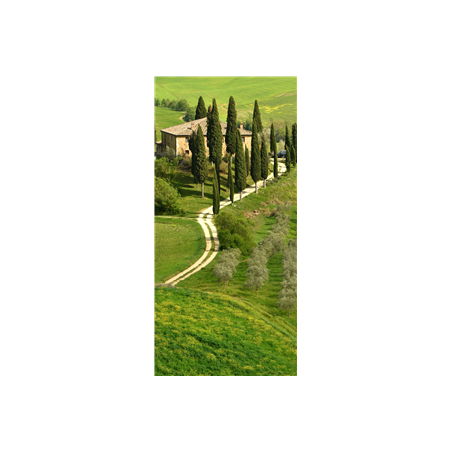 Kakemono Allée cyprés - 180 x 80 cm sur Toile M1 avec structure X- Banner