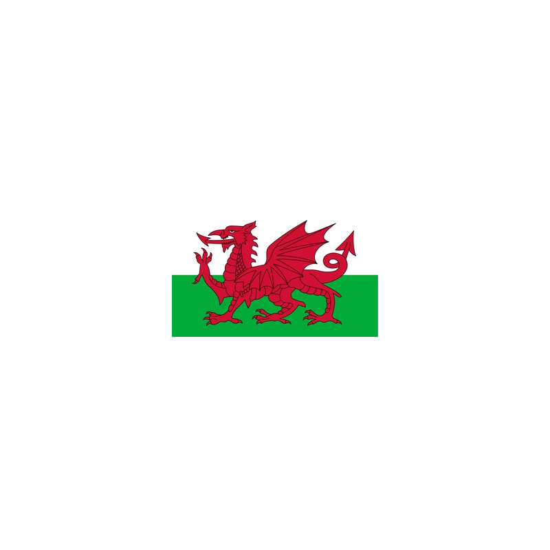 Drapeau Pays de Galles - tissu - 60 x 90cm