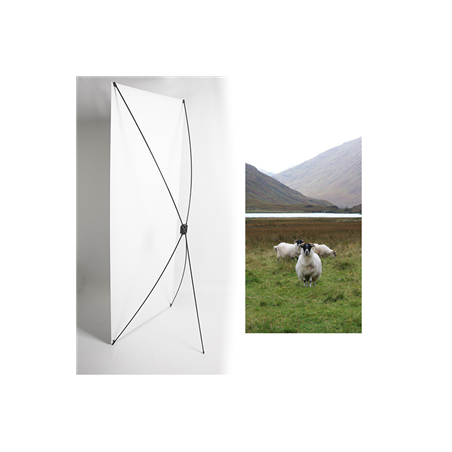 Kakemono Angleterre béliers - 180 x 80 cm - Toile M1 avec structure  X- Banner