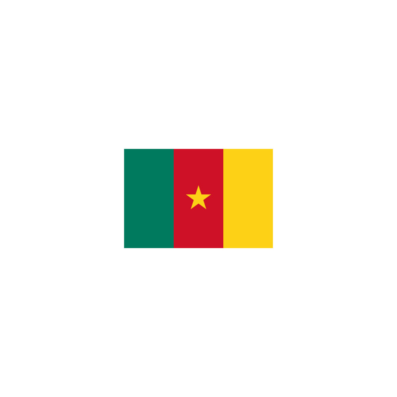 Drapeau Cameroun - tissu - 90 x 150cm
