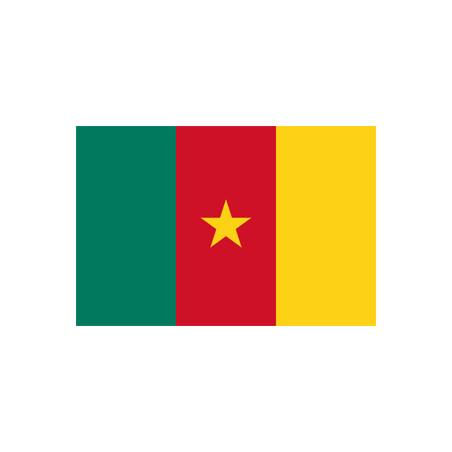 Drapeau Cameroun - tissu - 90 x 150cm