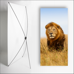 Kakemono Afrique Lion - 180 x 80 cm - Toile M1 avec structure X- Banner