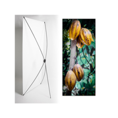 Kakemono FaireTrade Cacao - 180 x 80 cm - Toile M1 avec structure X- Banner