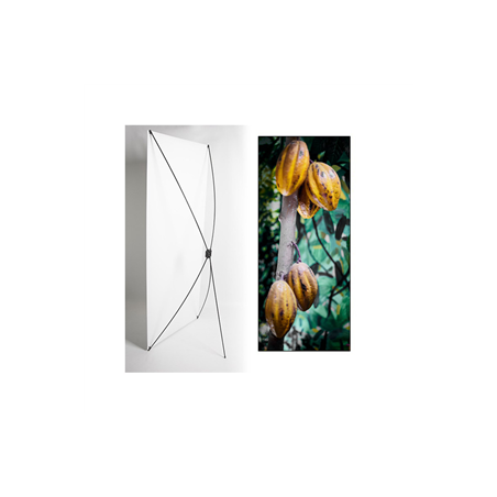 Kakemono FaireTrade Cacao - 180 x 80 cm - Toile M1 avec structure X- Banner