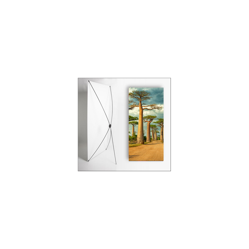 Kakemono Madagascar Baobab - 180 x 80 cm - Toile M1 avec structure X- Banner