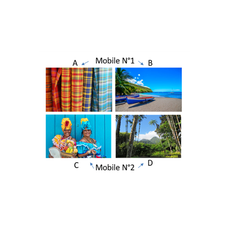 Mobiles Créole x4 - 27 x 49cm