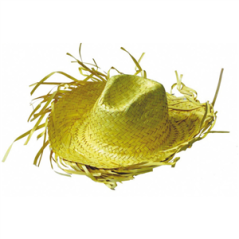 Chapeau de paille exotique jaune