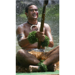 Kakemono Danseur polynésien - 180 x 80 cm - Toile M1 avec structure X- Banner