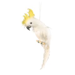 Perroquet blanc crête jaune 11 x 45cm