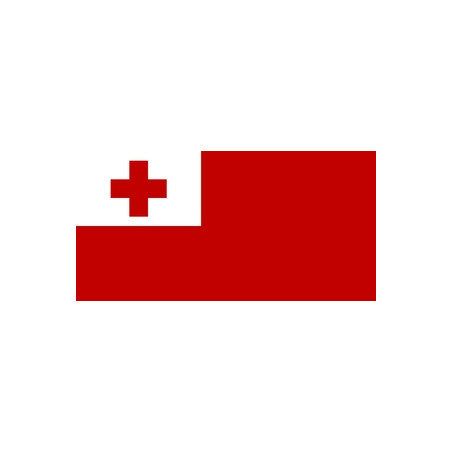 Drapeau Tonga - tissu - 60 x 90cm*