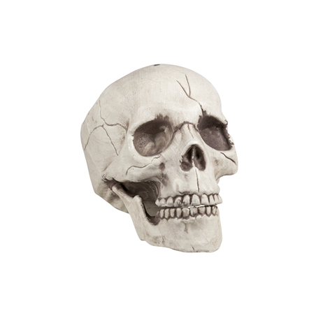 Tête de mort - 16 x 14 x 21cm