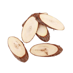 Lot de 12 rondins biseautés 18 x 8 x 1 cm