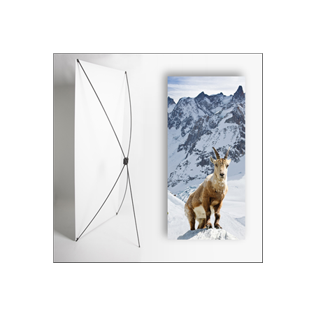Kakemono Montagne Chamoix - 180 x 80 cm - Toile M1 avec structure  X- Banner