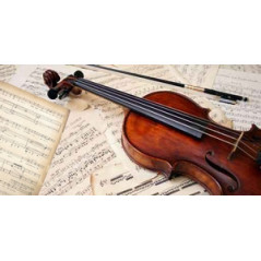 Affiche Violon recto verso 80 x 40 cm PVC M1*