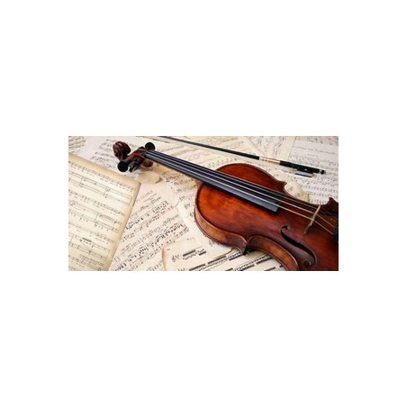 Affiche Violon recto verso 80 x 40 cm PVC M1*
