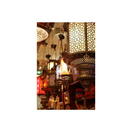 Kakémono Oriental Lampes 80 x 180 sur Toile M1 / avec structure  X- Banner