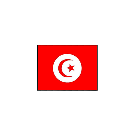 Drapeau Tunisie - tissu - 60 x 90cm