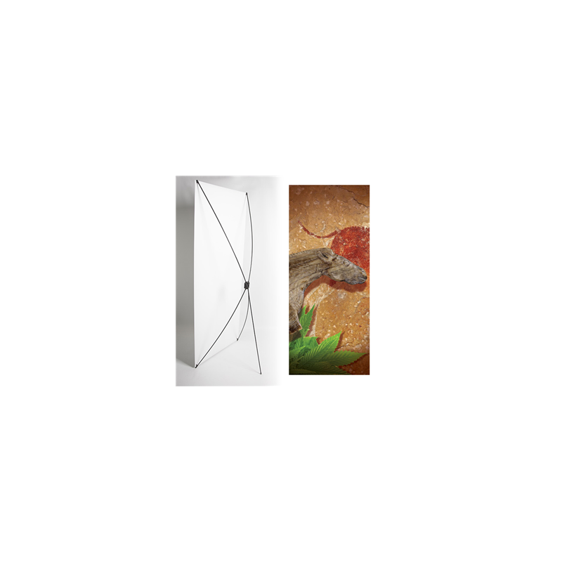 Kakemono Cheval préhistoire - 180 x 80 cm - Toile M1 avec structure  X- Banner