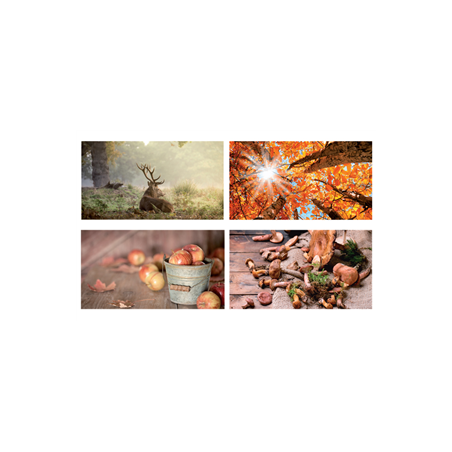 Mobiles Automne x4 - carton - 27 x 49cm