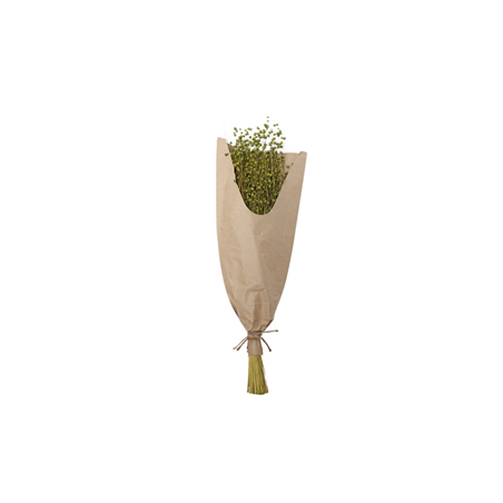 Bouquet de Lin naturel 100g - Haut. 60cm