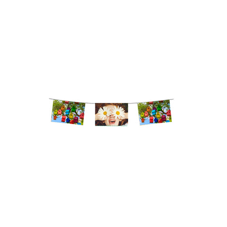 Guirlande visuel Printemps 10 fanions 30 x 21cm - papier Long. 520cm