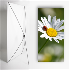 Kakemono Printemps coccinelle - 180 x 80 cm - Toile M1 avec structure  X- Banner