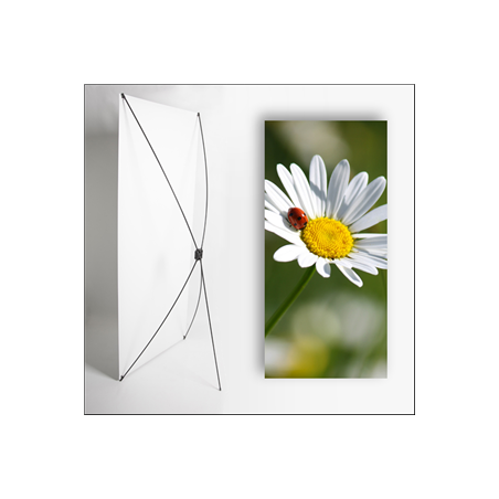 Kakemono Printemps coccinelle - 180 x 80 cm - Toile M1 avec structure  X- Banner