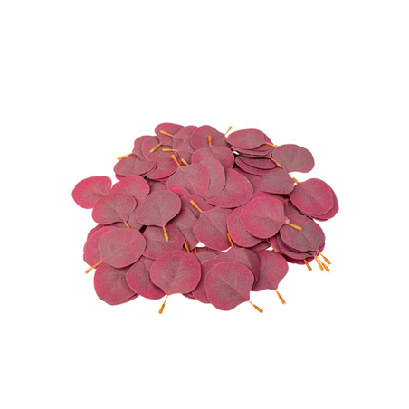 50 Feuilles d'Eucalyptus Marsala 7,5 x 6 cm