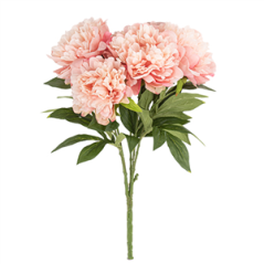 Bouquet de 5 Pivoines roses - Haut. 49cm