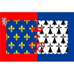 Drapeau Pays de La Loire - tissu - 60 x 90 cm